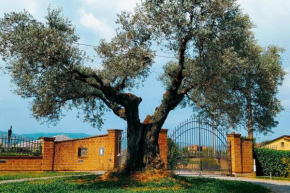 Casolare L'Antico Olivo